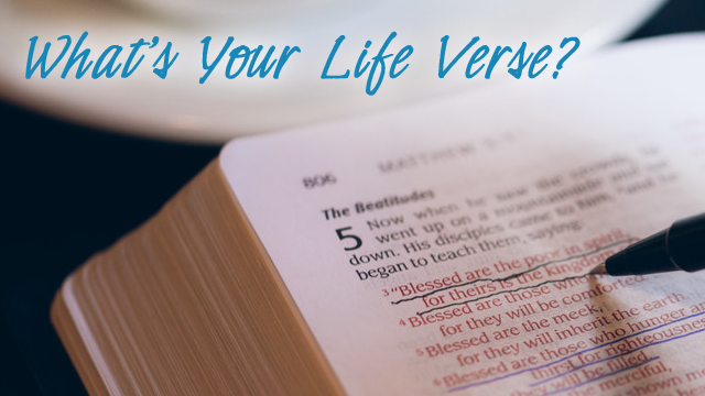 What’s Your Life Verse? – soapflavoredmangos